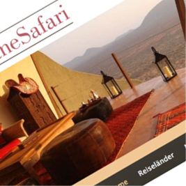 DaneSafari Webdesign